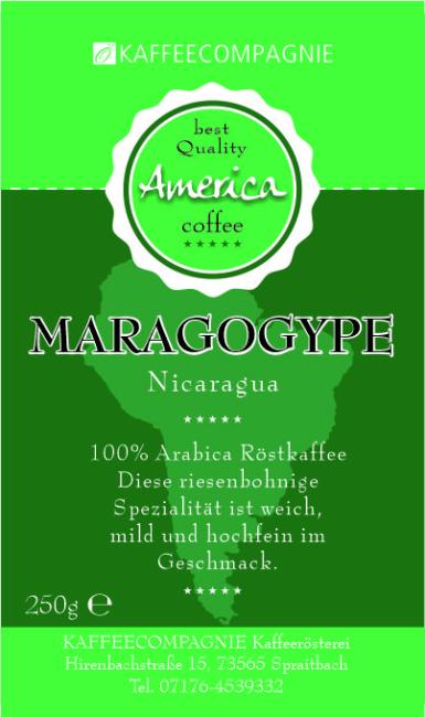 Mexico / Nicaragua Maragogype